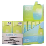 Arctic Icy FLUM Pebble 2