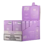 Blueberry Mint FLUM Pebble